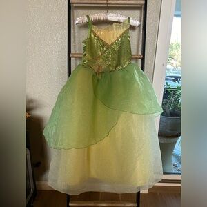 Disney Princess and the Frog Tiana dress